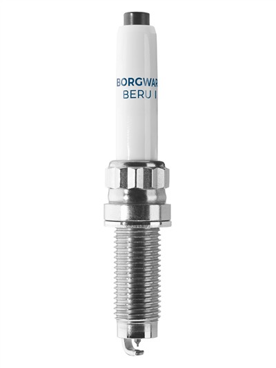 BERU Z554 EAN: 4014427184317.