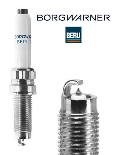 BERU Z554 EAN: 4014427184317.