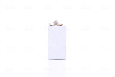 NISSENS 999351 EAN: 5707286480827.