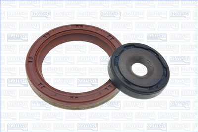 AJUSA 50289600 EAN: 8427769985393.