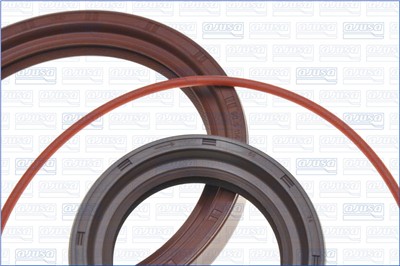 AJUSA 51016900 EAN: 8427769579103.