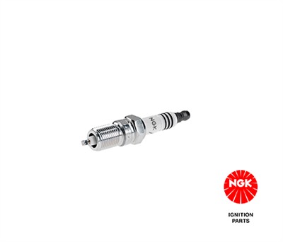 NGK 3689 Číslo výrobce: TR6IX. EAN: 87295136898.