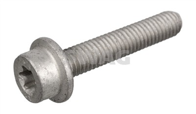 SWAG 10 94 6395 EAN: 4044688463951.