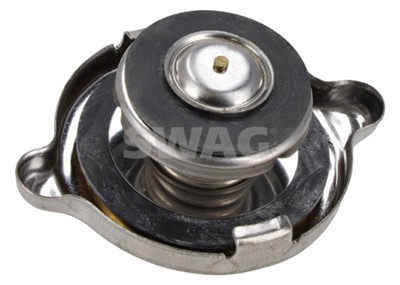 SWAG 10 99 0010 EAN: 4044688065681.