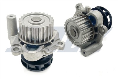 DOLZ A186 EAN: 8430632011860.