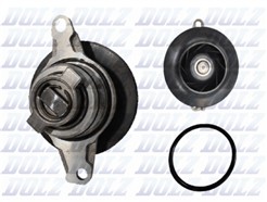 DOLZ S295