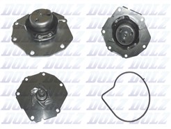 DOLZ V212