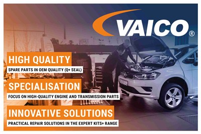 VAICO V60-0313 Číslo výrobce: 75W-80. EAN: 4046001670152.