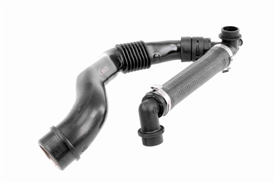 VAICO V10-0774 EAN: 4046001524189.