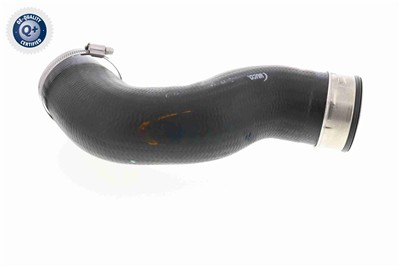 VAICO V10-2833 EAN: 4046001604164.