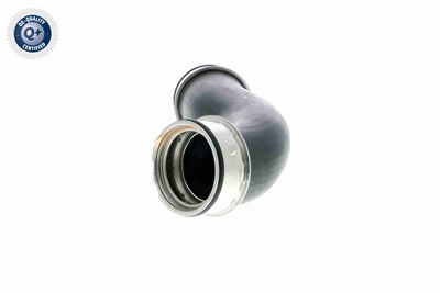 VAICO V10-2856 EAN: 4046001603884.