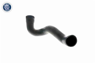 VAICO V10-3141 EAN: 4046001629426.