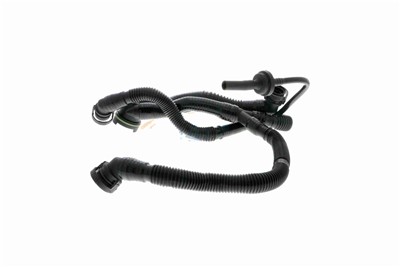 VAICO V10-3505 EAN: 4046001662867.