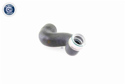 VAICO V10-3825 EAN: 4046001688805.