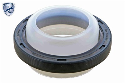 VAICO V10-10022 EAN: 4062375192496.