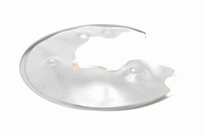 VAICO V10-5067 EAN: 4046001899799.