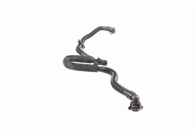 VAICO V10-5455 EAN: 4062375135615.