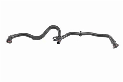 VAICO V10-5456 EAN: 4062375135622.