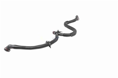 VAICO V10-5456 EAN: 4062375135622.