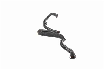 VAICO V10-5456 EAN: 4062375135622.