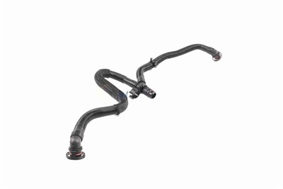 VAICO V10-5456 EAN: 4062375135622.