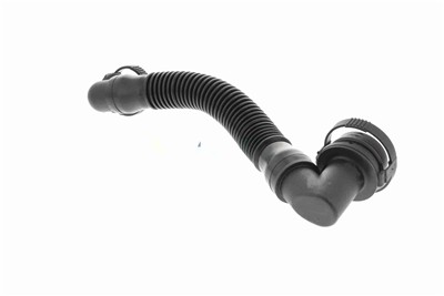 VAICO V10-5460 EAN: 4062375135769.