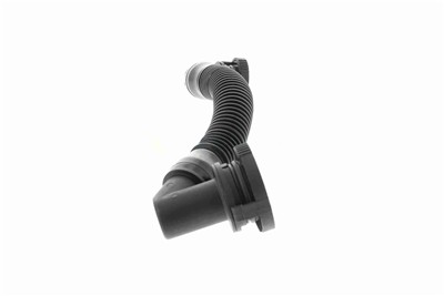 VAICO V10-5460 EAN: 4062375135769.