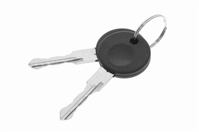 VAICO V10-6144 EAN: 4046001302985.