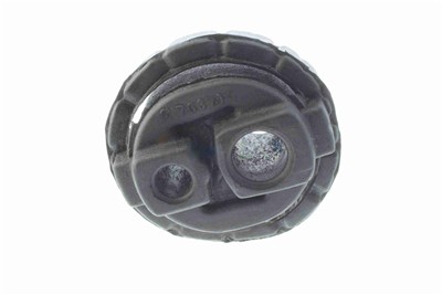 VAICO V24-0379 EAN: 4046001573958.