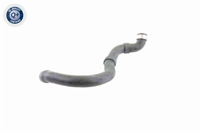 VAICO V30-1661 EAN: 4046001557910.