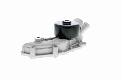 VAICO V30-50062 EAN: 4046001417573.