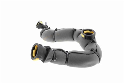 VAICO V42-0856 EAN: 4062375137213.