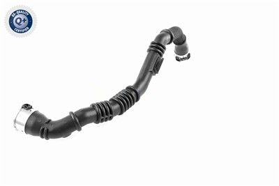 VAICO V46-1177 EAN: 4062375062683.