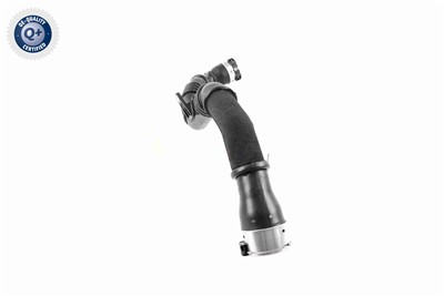 VAICO V46-1177 EAN: 4062375062683.