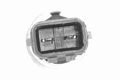 VEMO V10-73-0119 EAN: 4046001285172.