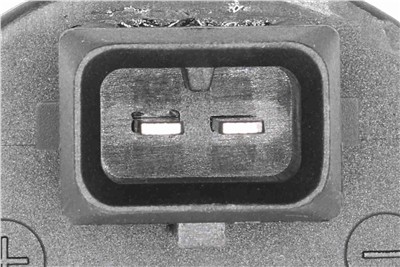 VEMO V10-77-1007 EAN: 4046001416538.