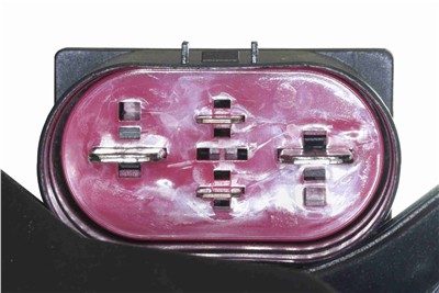 VEMO V15-01-1915 EAN: 4046001921599.