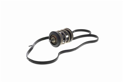 VEMO V15-99-2120 EAN: 4062375164851.