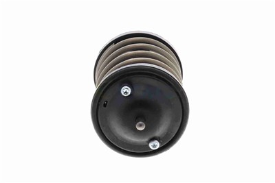 VEMO V20-99-0169 EAN: 4046001550164.