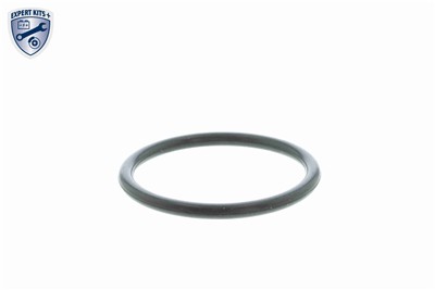 VEMO V40-99-0009 EAN: 4046001421785.