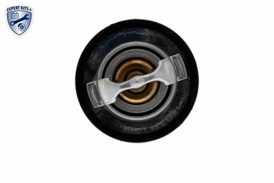 VEMO V40-99-0024 EAN: 4046001518591.