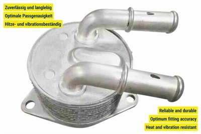 VEMO V95-60-0019 EAN: 4062375116201.