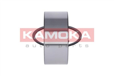 KAMOKA 5600076 Číslo výrobce: 95496252. EAN: 5908242693712.