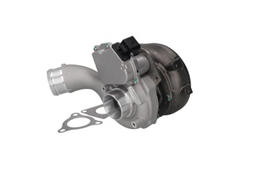 KAMOKA 8600042 EAN: 5902473264680.