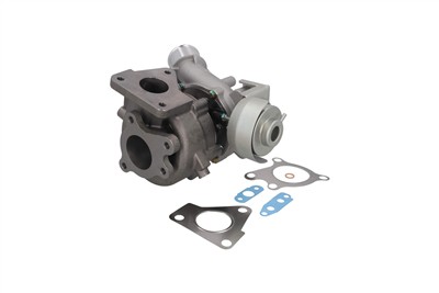 KAMOKA 8600081 EAN: 5902473265076.