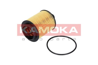 KAMOKA F111701 Číslo výrobce: 6001073251. EAN: 5908242683355.