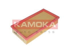 KAMOKA F207901