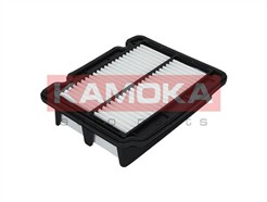 KAMOKA F210601