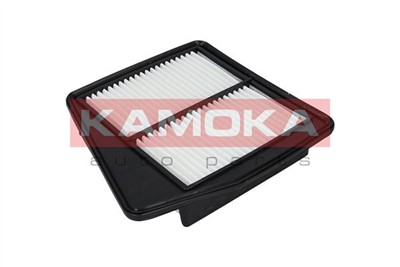 KAMOKA F225501 EAN: 5901779815572.