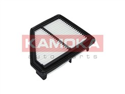 KAMOKA F225601